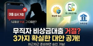 무직자 비상금대출 거절 시 대안 총정리