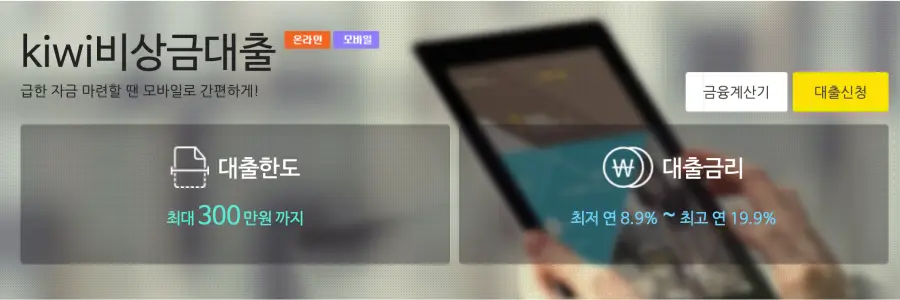 kiwi 비상금대출