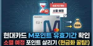 현대카드 M포인트 유효기간 확인 및 소멸예정 포인트 살리는 방법